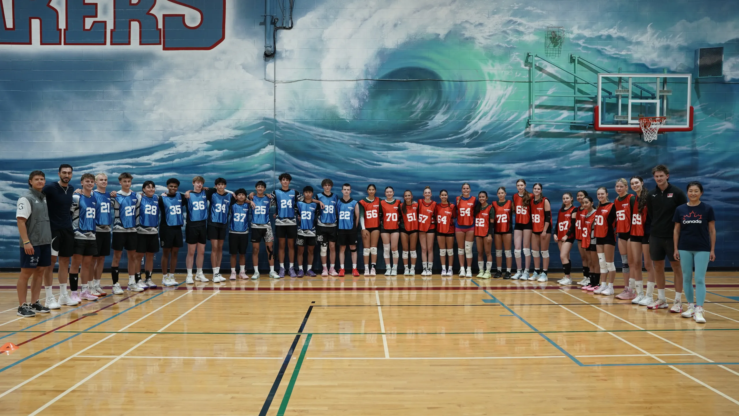 Vision Elite Volleyball Showcase